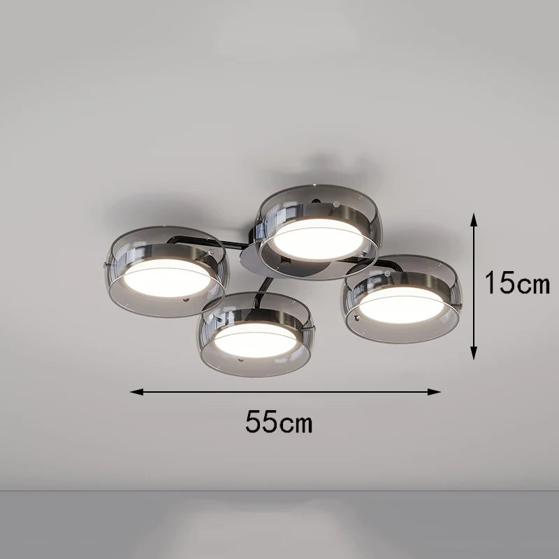 Nordic home decoration salon bedroom decor led lamp Ceiling lights for room lamps for living room indoor lighting lamparas