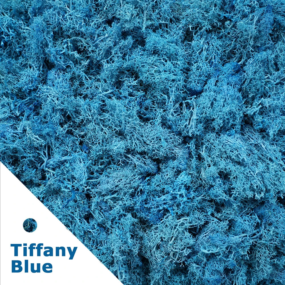 Artificial Green Plants Eternal Life Moss DIY Crafts Grass Garden Home Room Decor Mini Landscape Fake Grass 20/40/100g