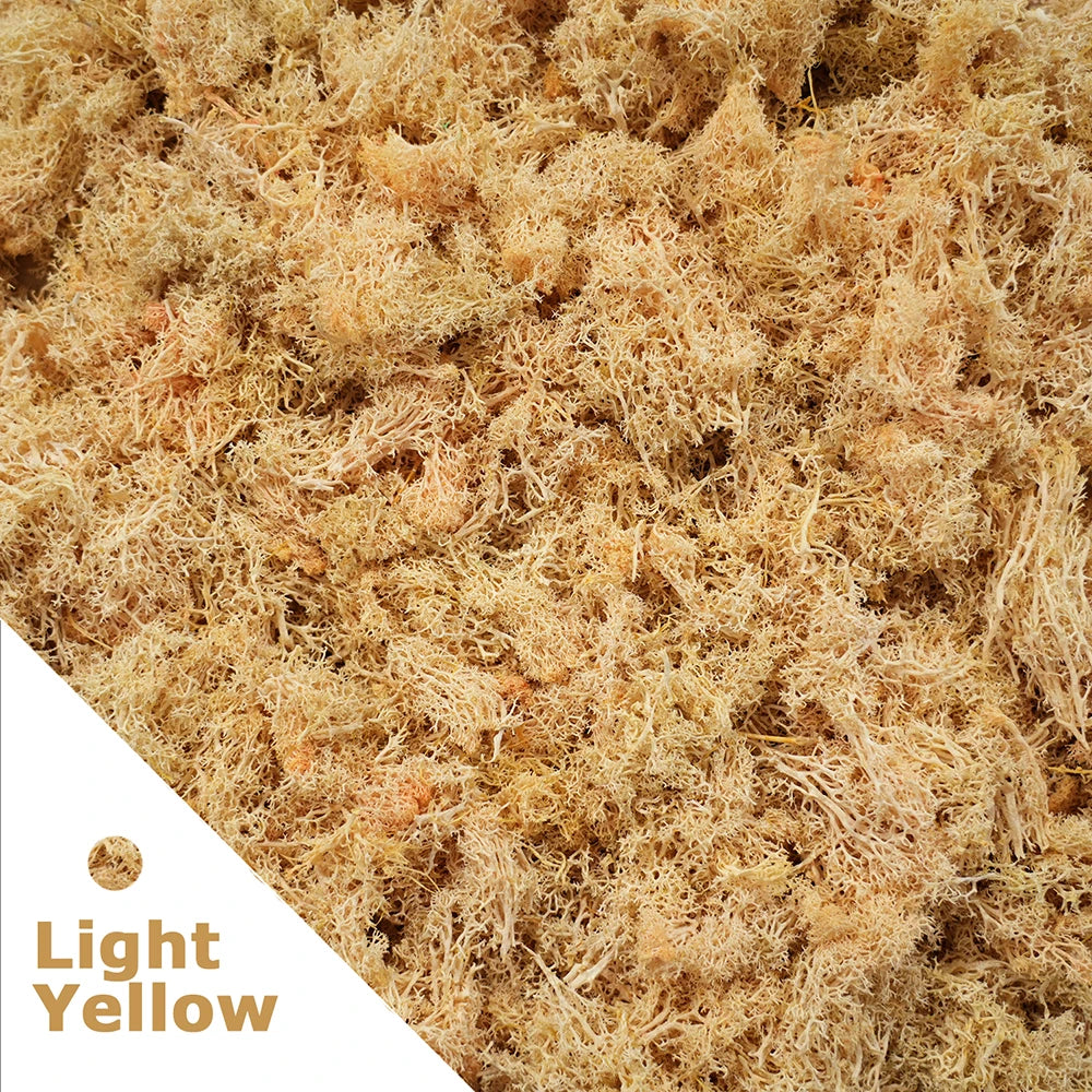 Artificial Green Plants Eternal Life Moss DIY Crafts Grass Garden Home Room Decor Mini Landscape Fake Grass 20/40/100g