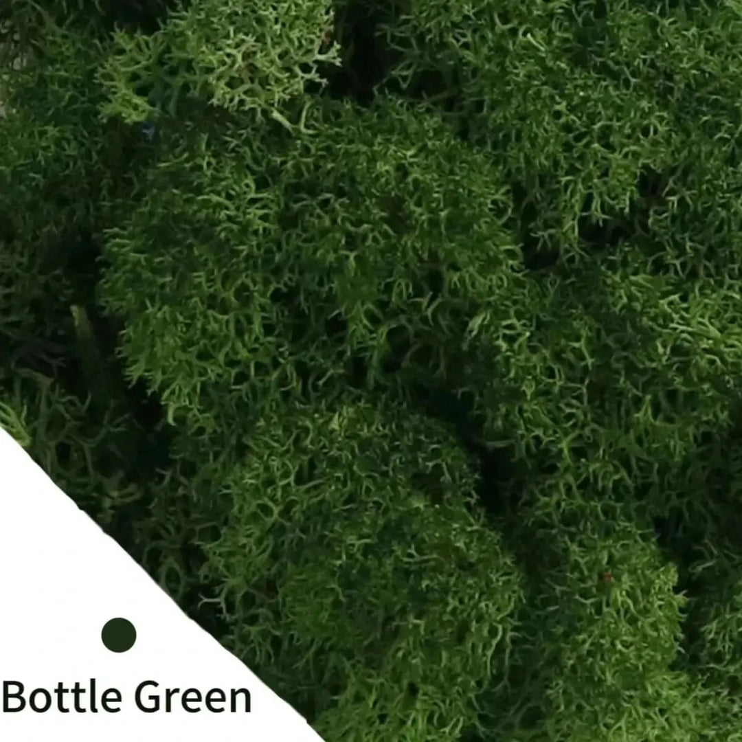 Artificial Green Plants Eternal Life Moss DIY Crafts Grass Garden Home Room Decor Mini Landscape Fake Grass 20/40/100g