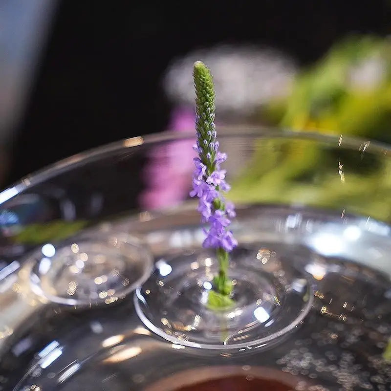 Floating Flower Vase Fresh Flower Hydroponic Vessel Floral Arrangement Artistic Vase Flower Holder Plant Display Home Decor