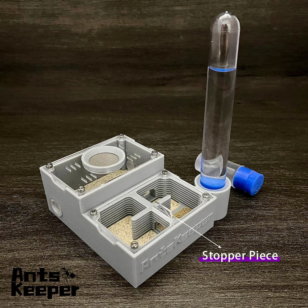 【Four Section】Flat Ant Farm with Indepedent Rooms for Ants keeper , Ant Hill House Nest for Small and Middle Ants Colony