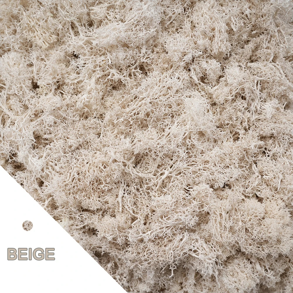 Artificial Green Plants Eternal Life Moss DIY Crafts Grass Garden Home Room Decor Mini Landscape Fake Grass 20/40/100g