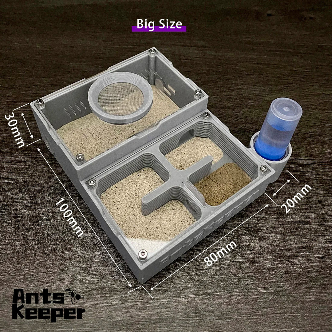 【Four Section】Flat Ant Farm with Indepedent Rooms for Ants keeper , Ant Hill House Nest for Small and Middle Ants Colony