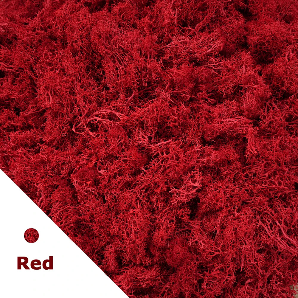 Artificial Green Plants Eternal Life Moss DIY Crafts Grass Garden Home Room Decor Mini Landscape Fake Grass 20/40/100g