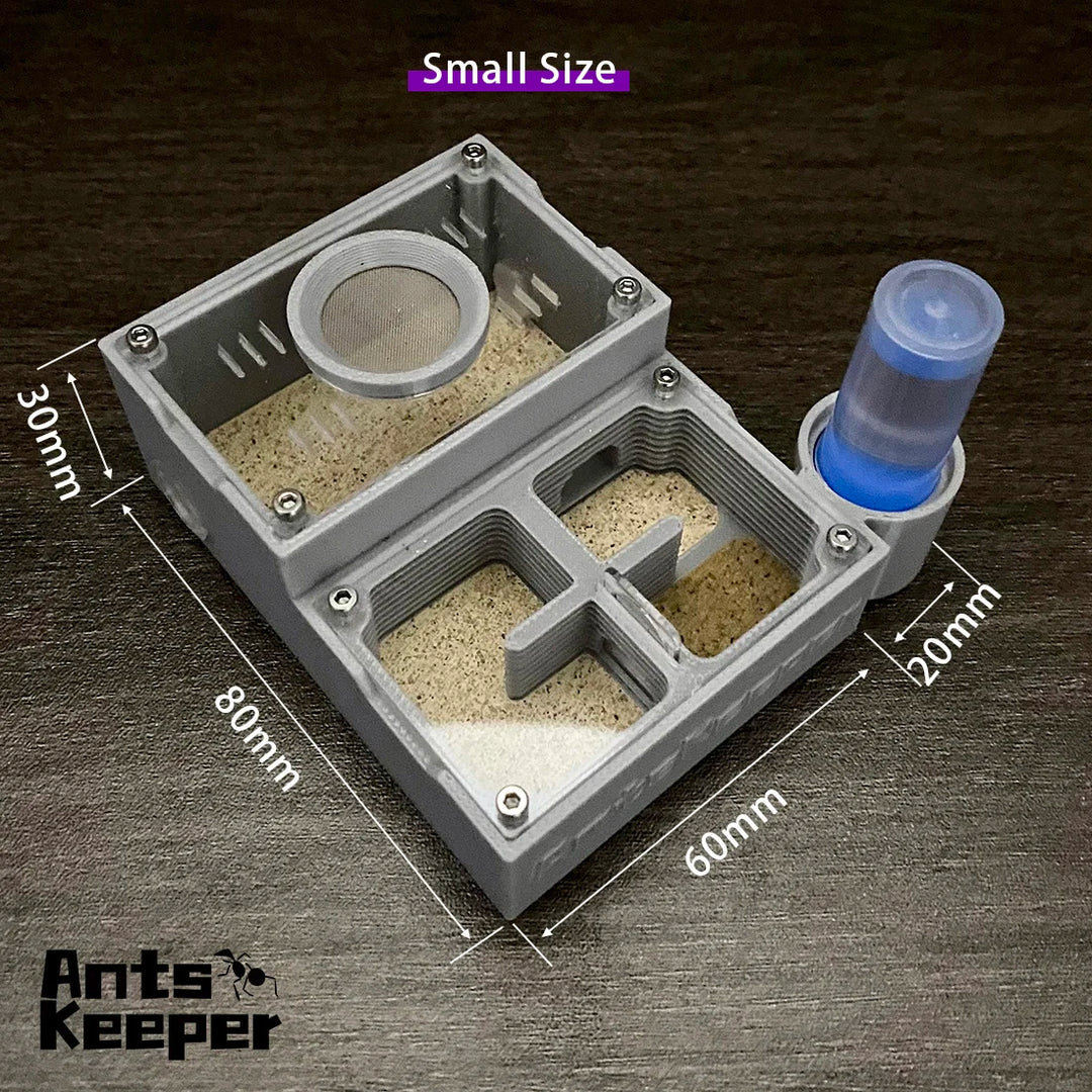 【Four Section】Flat Ant Farm with Indepedent Rooms for Ants keeper , Ant Hill House Nest for Small and Middle Ants Colony