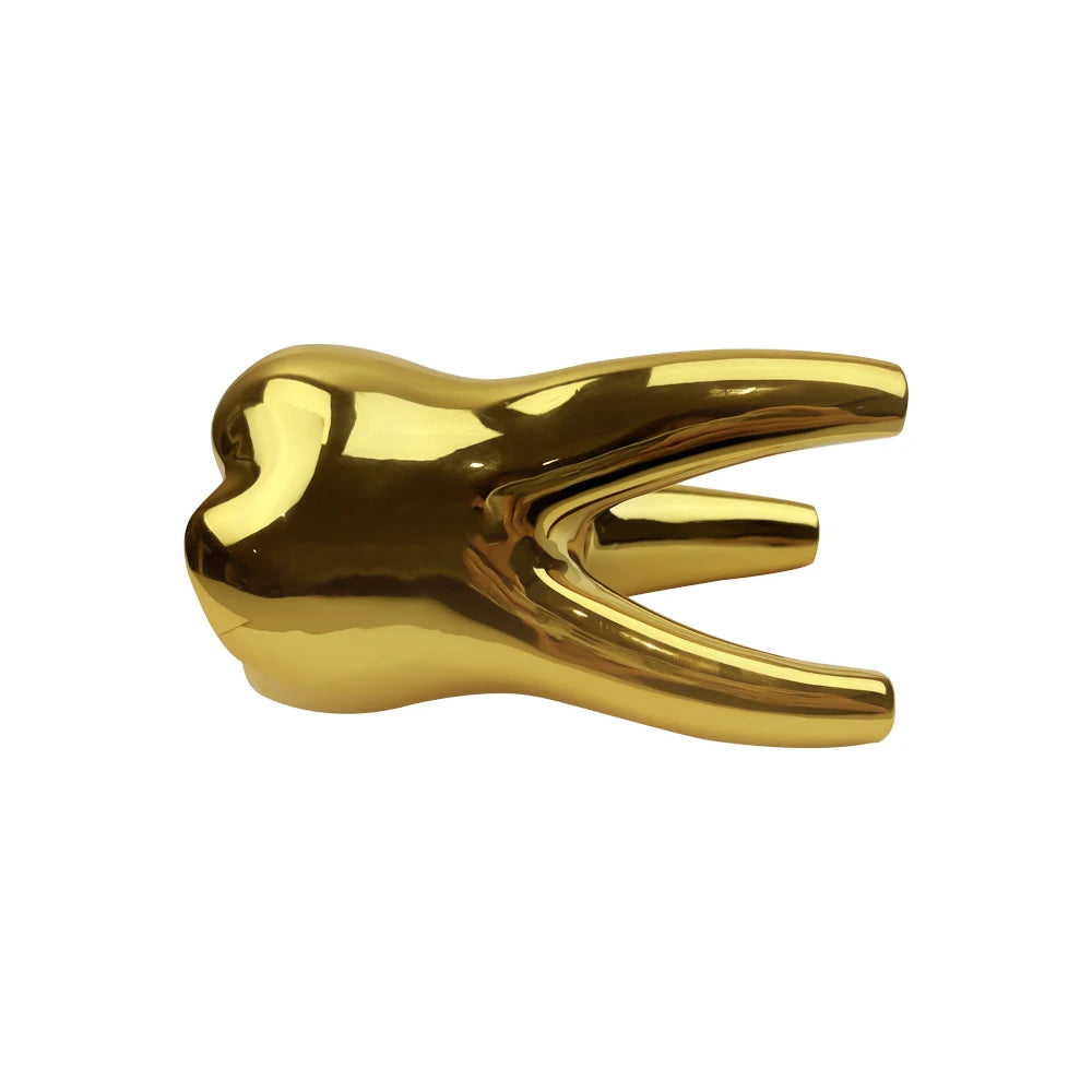 Dentist Tooth Decoration For Dental Clinic Office Table Decor Teeth Model Figurines Ornament Dental Decoration Accessories Gift