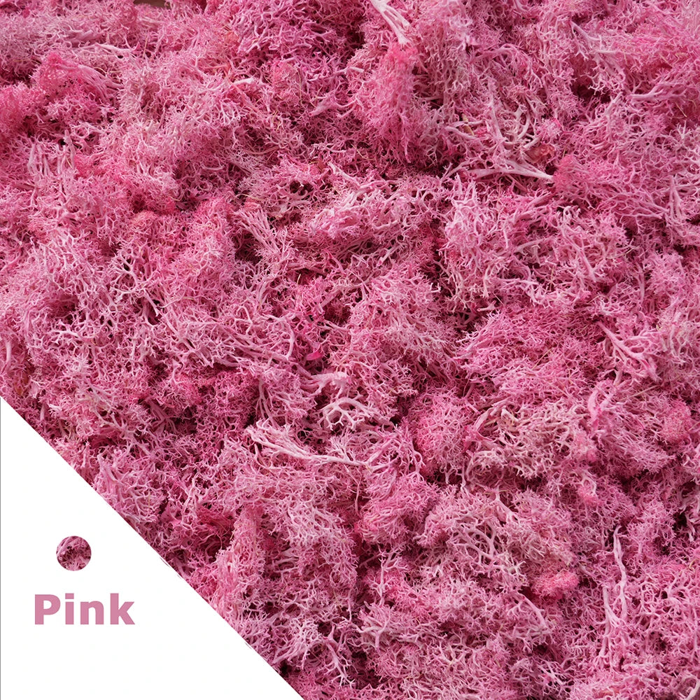 Artificial Green Plants Eternal Life Moss DIY Crafts Grass Garden Home Room Decor Mini Landscape Fake Grass 20/40/100g