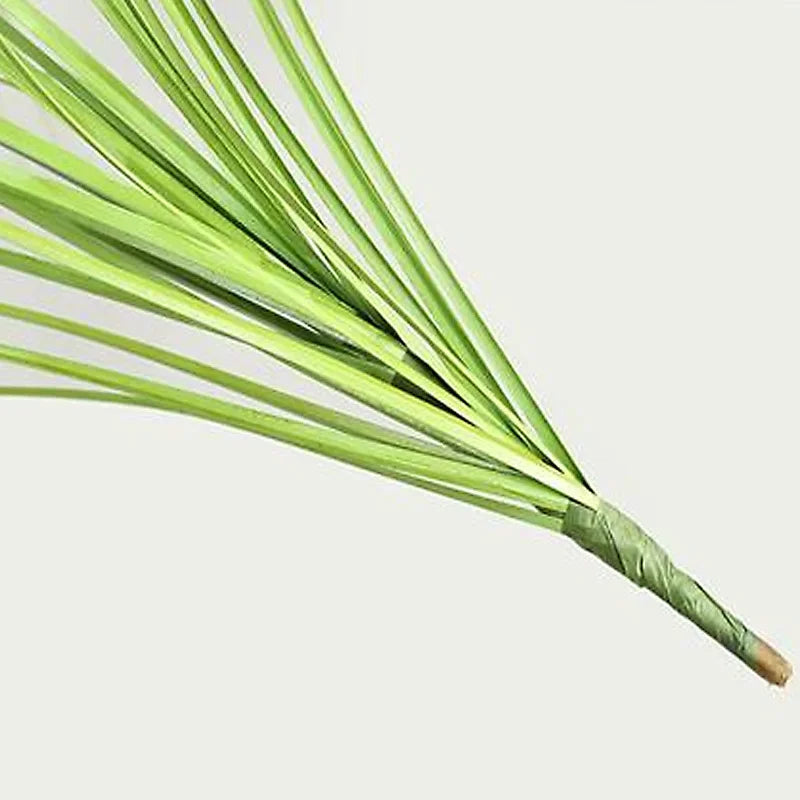 Artificial Grass Home Garden Decoration Fake Plant Miniature Simulation Scene Layout Onion Grass Home Decor  Artificial Plants