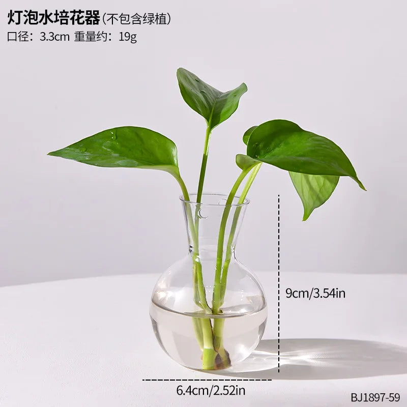 Plant Test Tube Hydroponic Vase Water-grown Flower Arrangement Plant Container Simple Wooden Frame Decors Creative Glass Vases