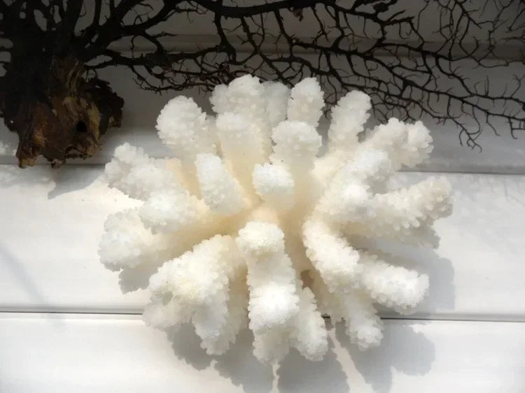 10 -12 100% Natural Coral Aquarium Decor Fish Decoration Aquarium Landscaping Ornaments Home Decoration