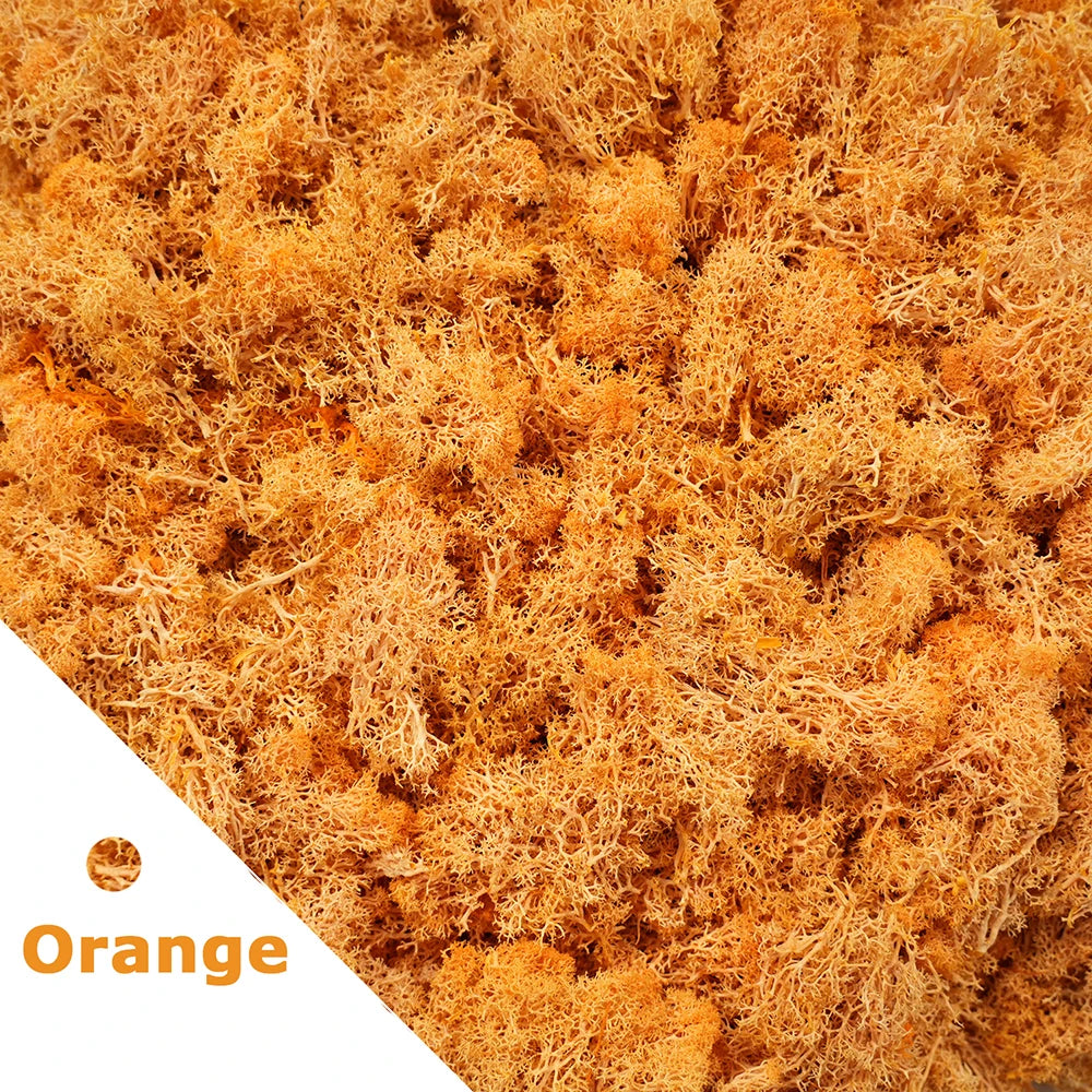 Artificial Green Plants Eternal Life Moss DIY Crafts Grass Garden Home Room Decor Mini Landscape Fake Grass 20/40/100g