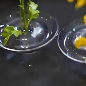 Floating Flower Vase Fresh Flower Hydroponic Vessel Floral Arrangement Artistic Vase Flower Holder Plant Display Home Decor