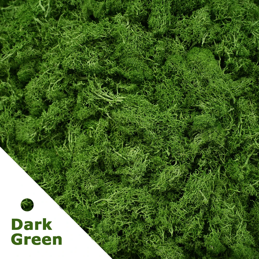 Artificial Green Plants Eternal Life Moss DIY Crafts Grass Garden Home Room Decor Mini Landscape Fake Grass 20/40/100g