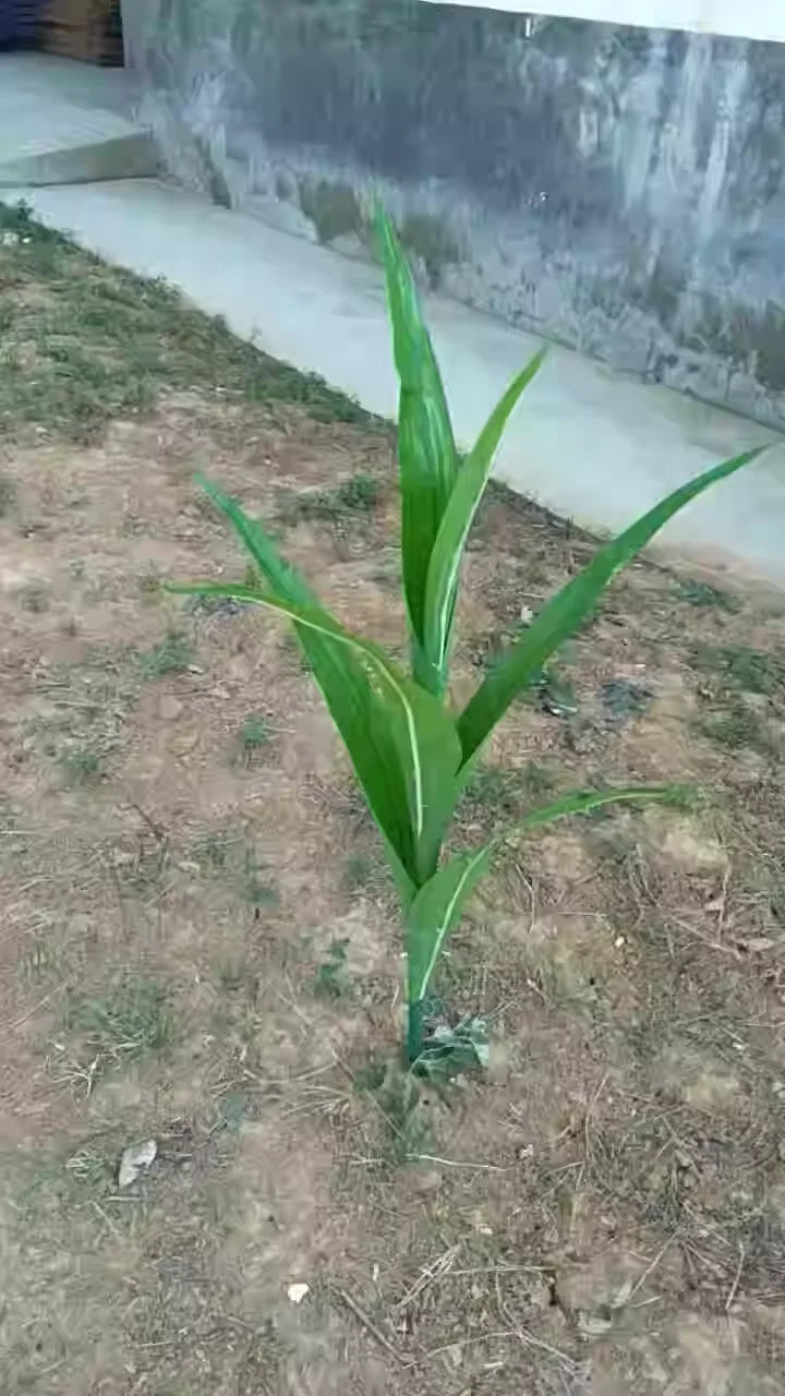 Artificial Corn Plant Plastic Fake Maize Crops Field Plants Rural Garden Decor Direct S Simulation een Plant Decorations