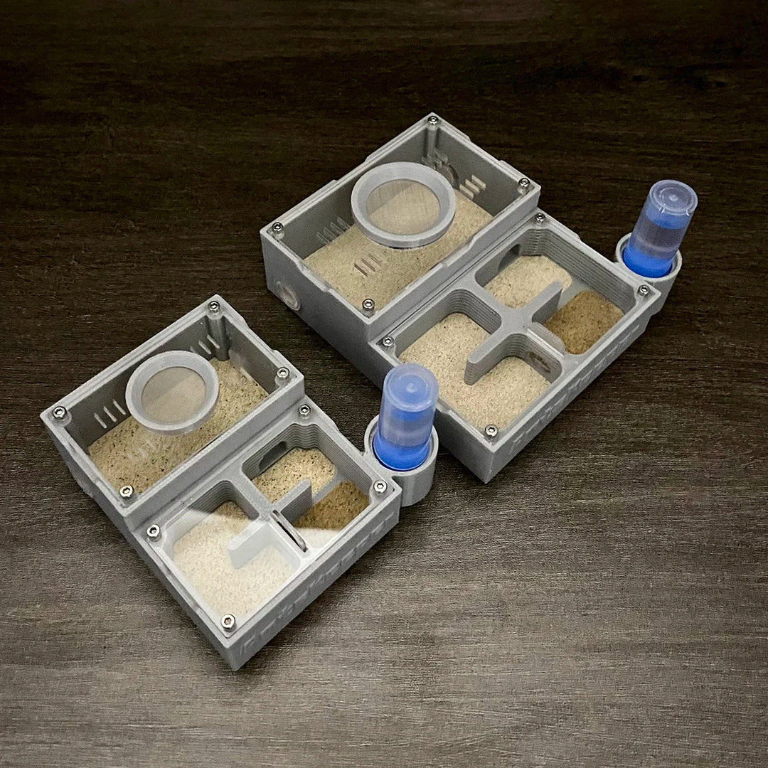 【Four Section】Flat Ant Farm with Indepedent Rooms for Ants keeper , Ant Hill House Nest for Small and Middle Ants Colony