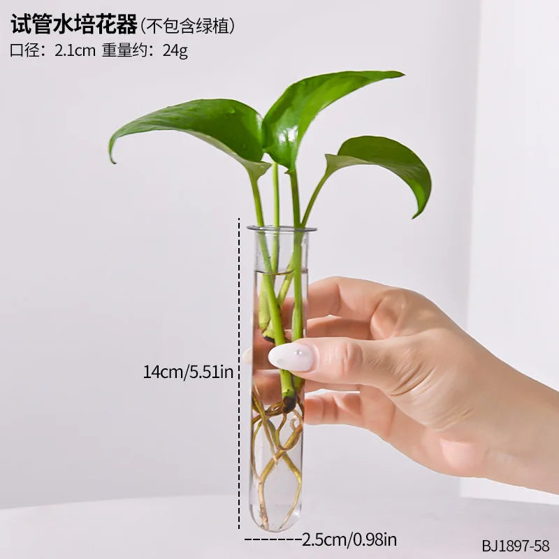 Plant Test Tube Hydroponic Vase Water-grown Flower Arrangement Plant Container Simple Wooden Frame Decors Creative Glass Vases