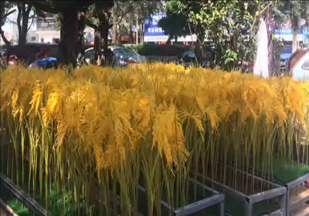 Artificial Corn Plant Plastic Fake Maize Crops Field Plants Rural Garden Decor Direct S Simulation een Plant Decorations