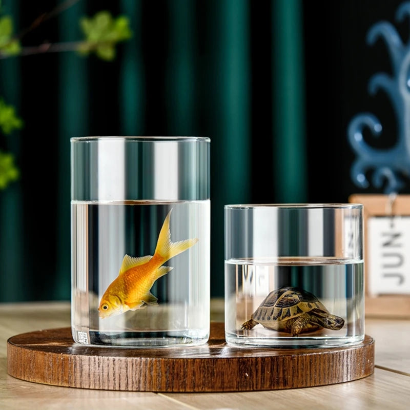 Modern Clear Glass Flower Vase Glass Cylinders Vase Florals Container Flower Vase Elegant Table Centerpieces Decorations